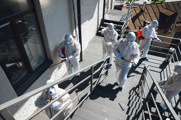 Best Industrial Mold Remediation  in , NC
