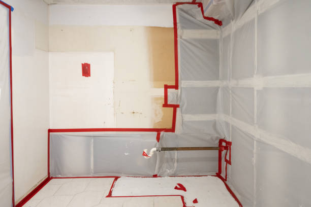 Best Biohazard Mold Removal  in , NC