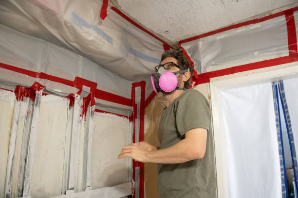 Best Mold Remediation for Healthcare Facilities  in , NC
