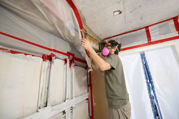 Best Mold Odor Removal Services  in , NC