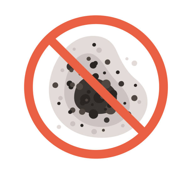 Best Forensic Mold Investigation  in , NC