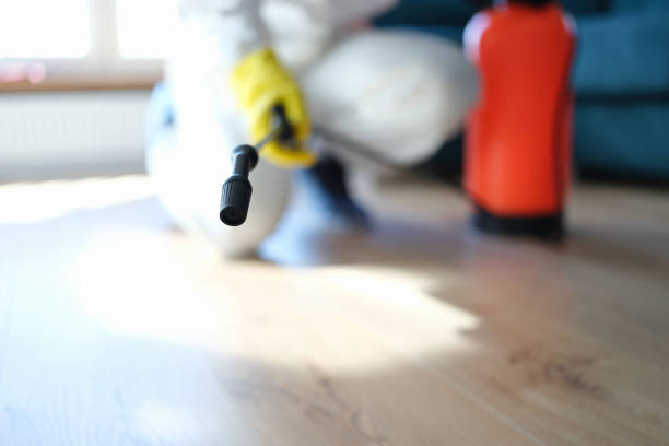  , NC Mold Removal Pros