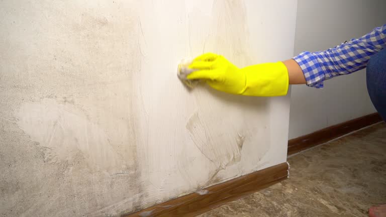 Best Post-Remediation Verification Testing  in , NC