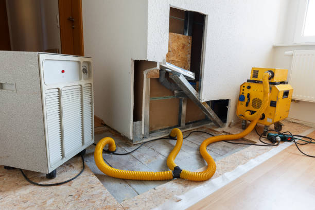 Best Commercial Mold Inspection  in , NC