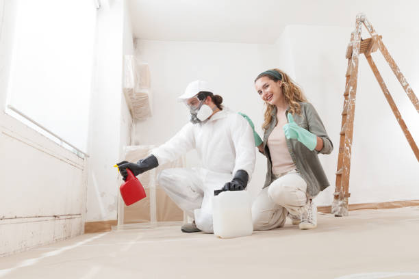 Best Environmental Consulting for Mold Prevention  in , NC