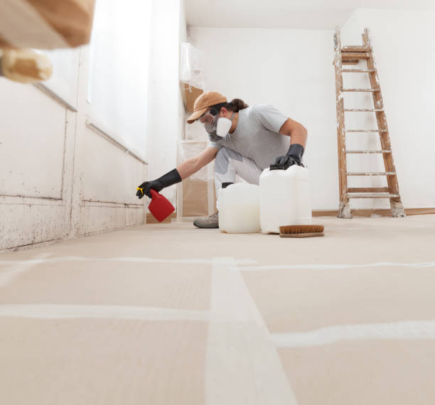 Best Mold-Related Health Consultation  in , NC